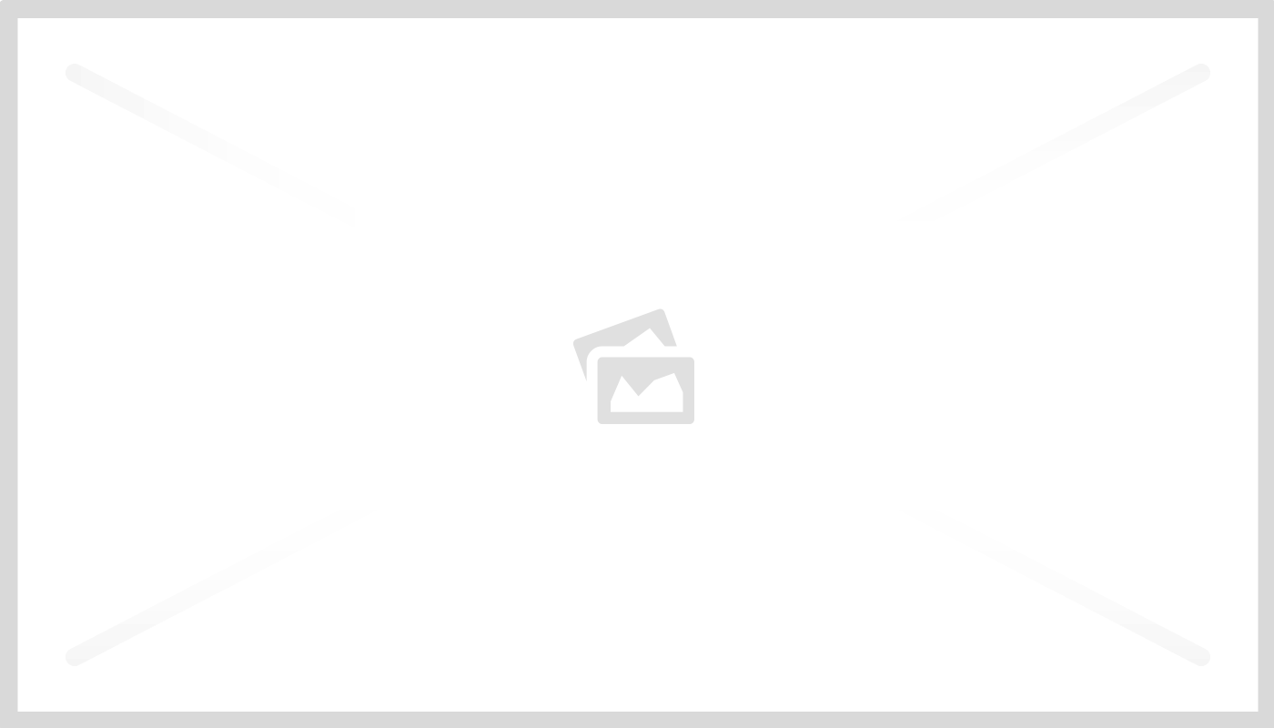 Les avantages nutritionnels des fruits d'été pour les chiens